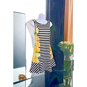 Elle Fit n Flare Dress 10 Floral Punch Black Stripe Sleeveless Stretch Zip NWT